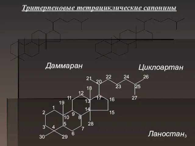 Тритерпеновые тетрациклические сапонины Даммаран Циклоартан Ланостан 2 1 4 5 6 7