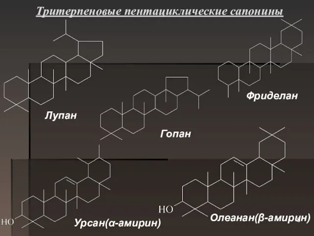 Тритерпеновые пентациклические сапонины Лупан Фриделан Гопан Урсан(α-амирин) Олеанан(β-амирин)