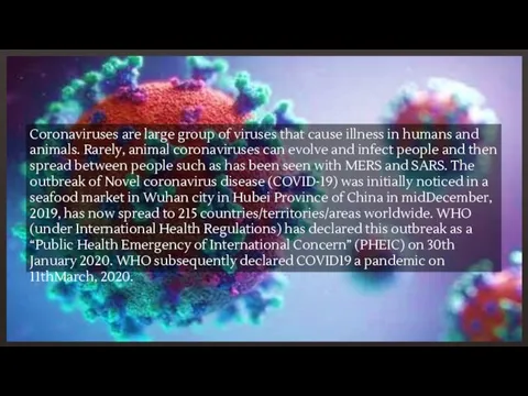 Coronaviruses are large group of viruses that cause illness in humans and