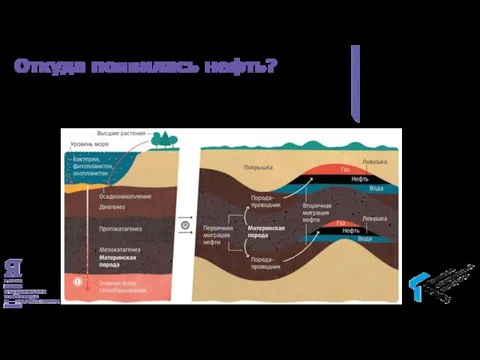 Откуда появилась нефть?