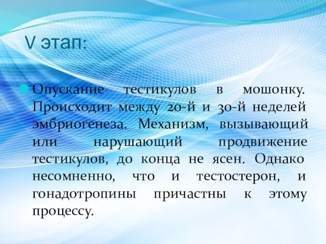 V этап: Опускание тестикулов в мошонку. Происходит между 20-й и 30-й неделей