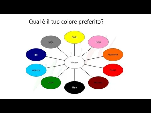 Qual è il tuo colore preferito?