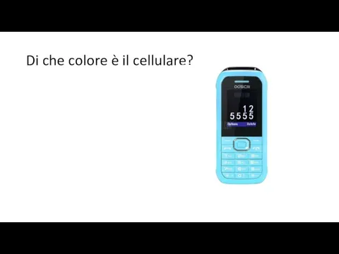 Di che colore è il cellulare?