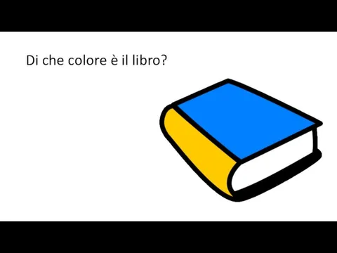 Di che colore è il libro?