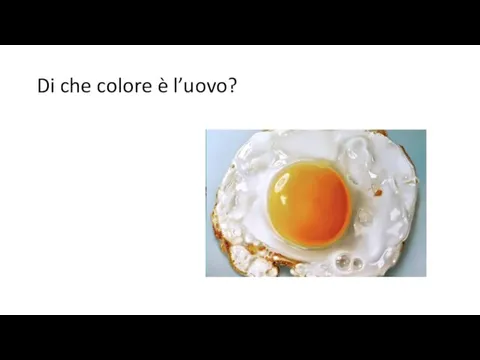 Di che colore è l’uovo?