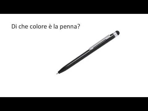 Di che colore è la penna?