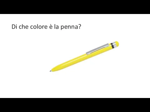 Di che colore è la penna?