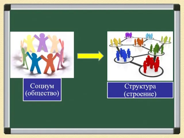 Социум (общество)