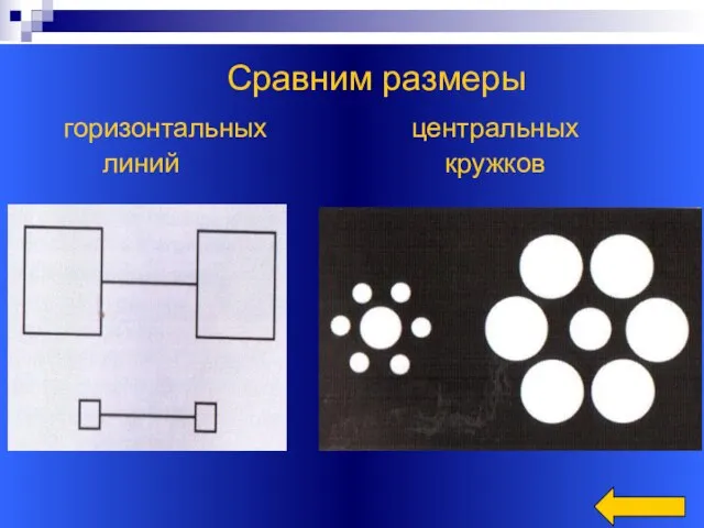 Сравним размеры горизонтальных центральных линий кружков