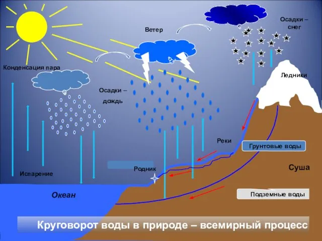 Испарение Конденсация пара Осадки – дождь Осадки – снег Ветер Круговорот воды