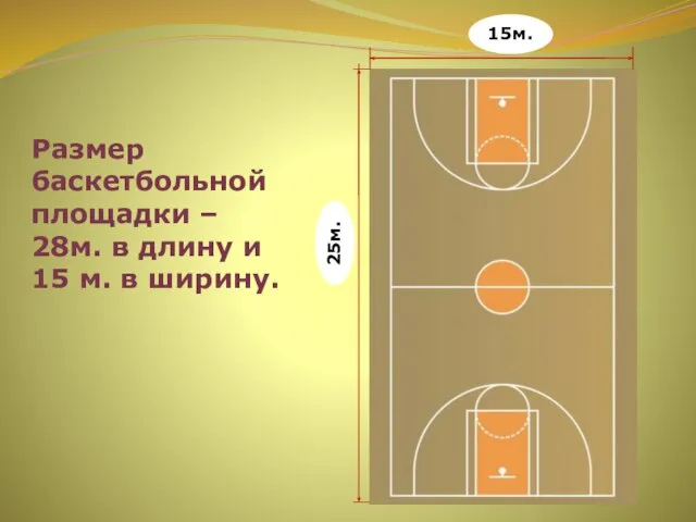 Размер баскетбольной площадки – 28м. в длину и 15 м. в ширину. 25м. 15м.