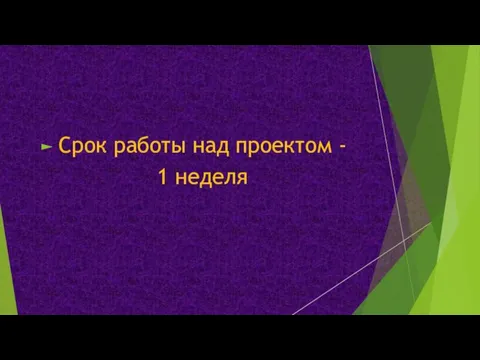 Срок работы над проектом - 1 неделя