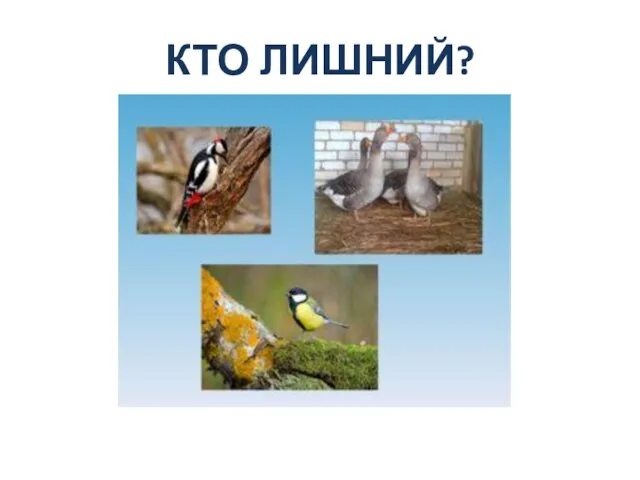 КТО ЛИШНИЙ?