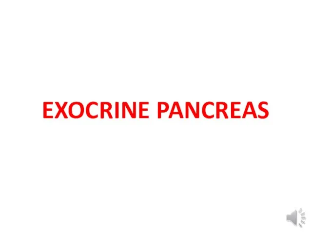 EXOCRINE PANCREAS