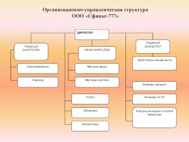 Организационно-управленческая структура ООО «Сфинкс-777»