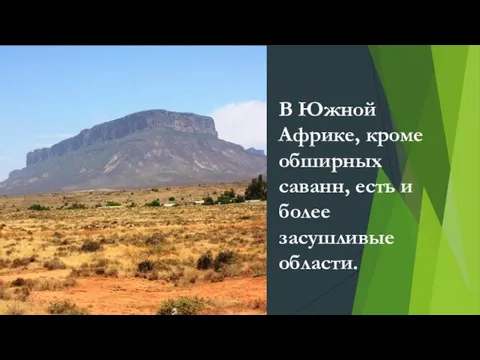 В Южной Африке, кроме обширных саванн, есть и более засушливые области.