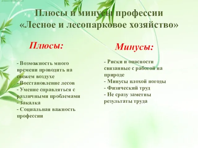 Плюсы и минусы профессии «Лесное и лесопарковое хозяйство» Плюсы: - Возможность много