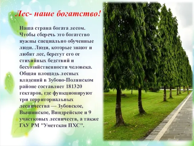 Наша страна богата лесом. Чтобы сберечь это богатство нужны специально обученные люди.