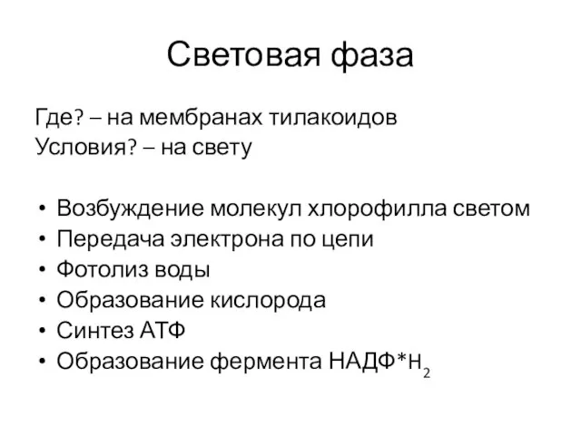 Световая фаза Где? – на мембранах тилакоидов Условия? – на свету Возбуждение