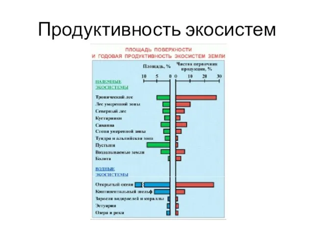 Продуктивность экосистем