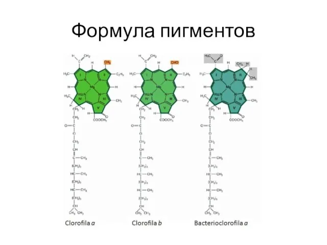 Формула пигментов