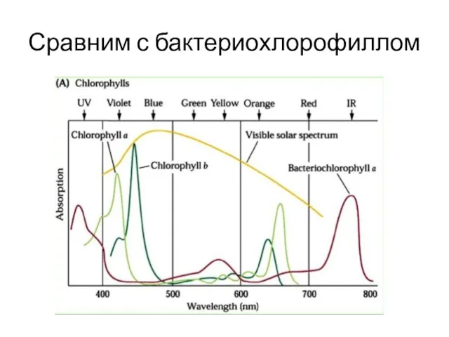 Сравним с бактериохлорофиллом