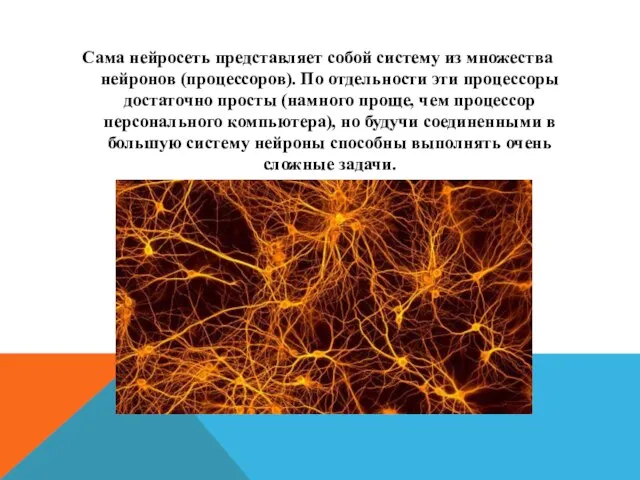 Сама нейросеть представляет собой систему из множества нейронов (процессоров). По отдельности эти