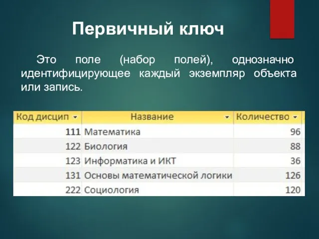 Это поле (набор полей), однозначно идентифицирующее каждый экземпляр объекта или запись. Первичный ключ