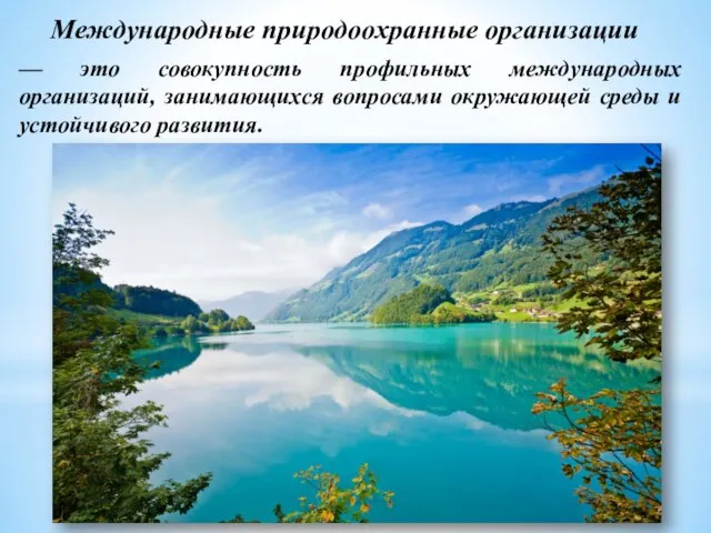 Международные природоохранные организации — это совокупность профильных международных организаций, занимающихся вопросами окружающей среды и устойчивого развития.