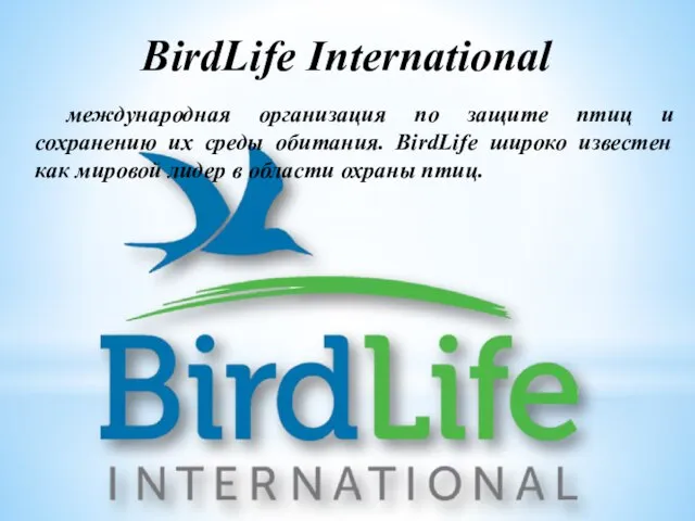 BirdLife International международная организация по защите птиц и сохранению их среды обитания.