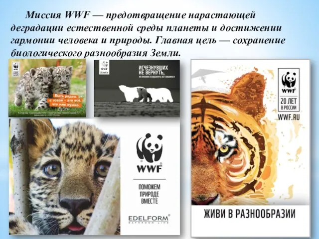 Миссия WWF — предотвращение нарастающей деградации естественной среды планеты и достижении гармонии