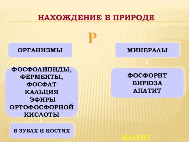 Р ОРГАНИЗМЫ МИНЕРАЛЫ ФОСФОЛИПИДЫ, ФЕРМЕНТЫ, ФОСФАТ КАЛЬЦИЯ ЭФИРЫ ОРТОФОСФОРНОЙ КИСЛОТЫ В ЗУБАХ