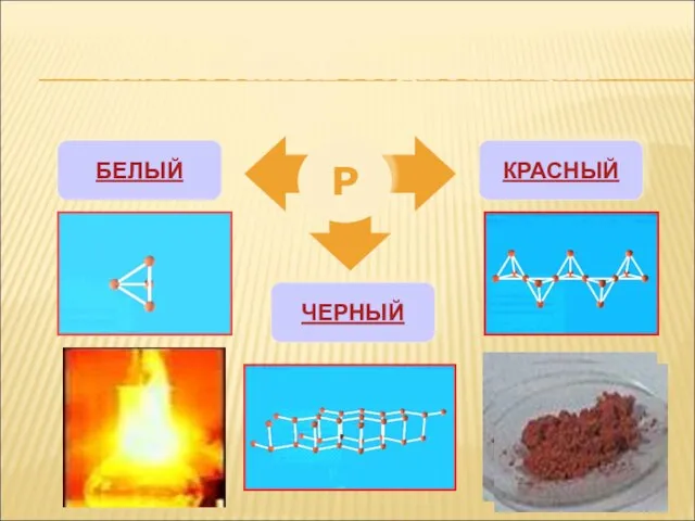 АЛЛОТРОПНЫЕ МОДИФИКАЦИИ Р БЕЛЫЙ КРАСНЫЙ ЧЕРНЫЙ