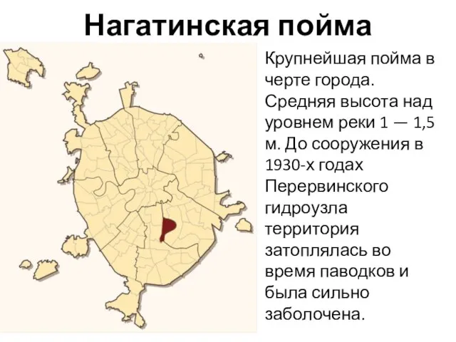 Нагатинская пойма Крупнейшая пойма в черте города. Средняя высота над уровнем реки