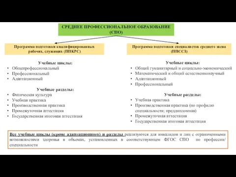 Учебные циклы: Общепрофессиональный Профессиональный Адаптационный Учебные разделы: Физическая культура Учебная практика Производственная