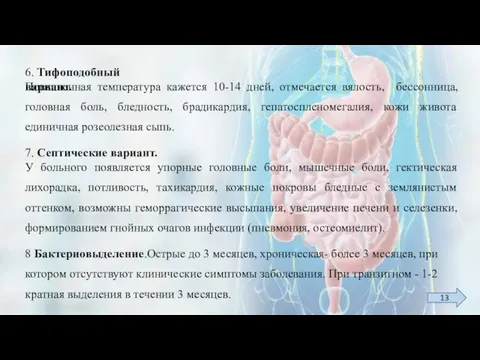 6. Тифоподобный вариант. Повышенная температура кажется 10-14 дней, отмечается вялость, бессонница, головная