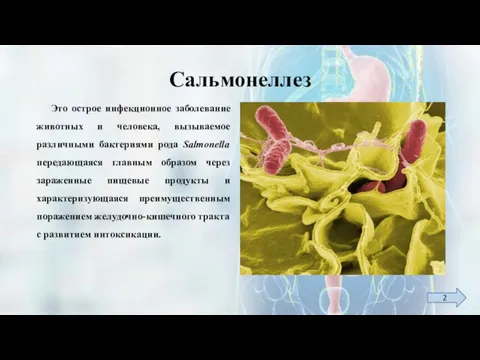 Сальмонеллез Это острое инфекционное заболевание животных и человека, вызываемое различными бактериями рода