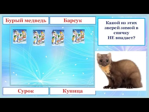 Какой из этих зверей зимой в спячку НЕ впадает? Бурый медведь Барсук Сурок Куница