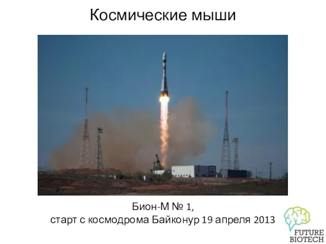 Космические мыши Бион-М № 1, старт с космодрома Байконур 19 апреля 2013