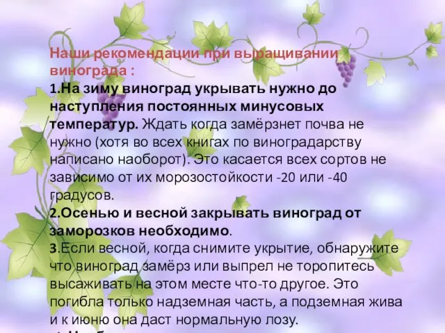 Наши рекомендации при выращивании винограда : 1.На зиму виноград укрывать нужно до