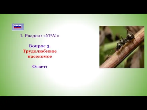 I. Раздел: «УРА!» Вопрос 3. Трудолюбивое насекомое Ответ: