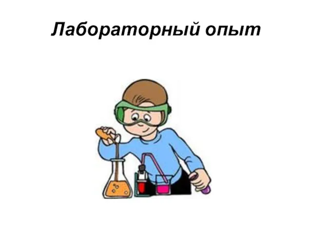 Лабораторный опыт