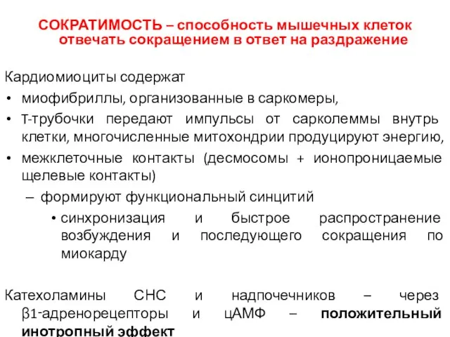 СОКРАТИМОСТЬ – способность мышечных клеток отвечать сокращением в ответ на раздражение Кардиомиоциты