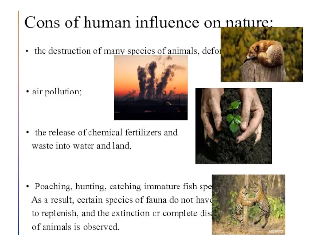 Cons of human influence on nature: the destruction of many species of