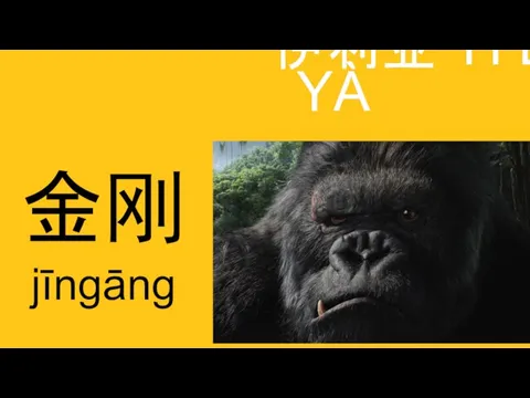 伊利亚 YǏ LÌ YÀ 金刚 jīngāng