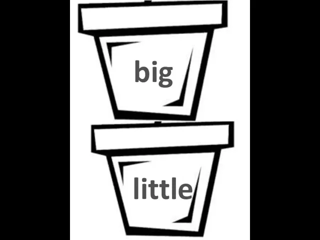big little