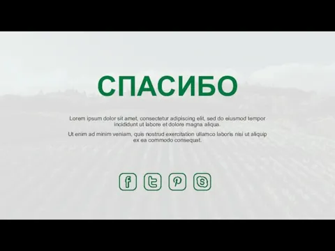 СПАСИБО Lorem ipsum dolor sit amet, consectetur adipiscing elit, sed do eiusmod