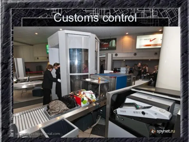 Customs control