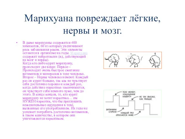 Марихуана повреждает лёгкие, нервы и мозг. В дыме марихуаны содержится 400 химикатов,