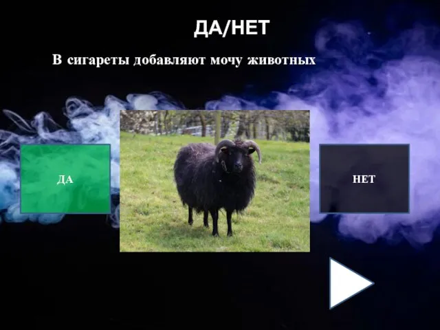 ДА/НЕТ В сигареты добавляют мочу животных ДА НЕТ